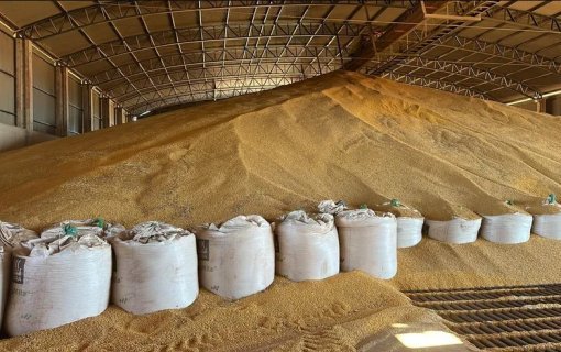 Armazenagem atende só 59% da safra no Brasil