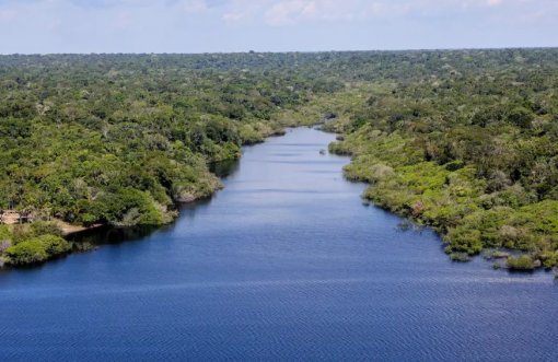 MMA e BNDES anunciam aporte de R$ 69,5 milhões para Amazônia