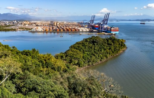 Biodiversidade de Peixes se destaca na Baía de Paranaguá