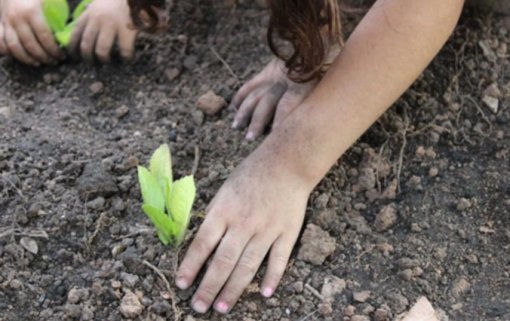 MRV amplia projeto de hortas comunitárias com o “Vizinhos do Bem”