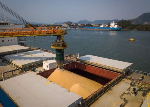 Porto de Santos firma acordo para transbordo de soja em alto-mar