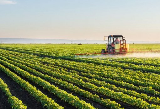 Cooperativas superam bancos no crédito rural e movimentam R$46 bi