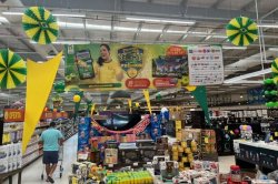 Imagem da notícia